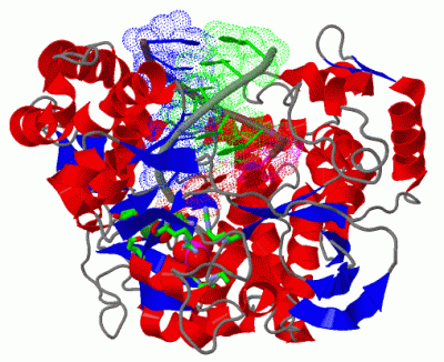 Image Biol.Unit 1 - manually