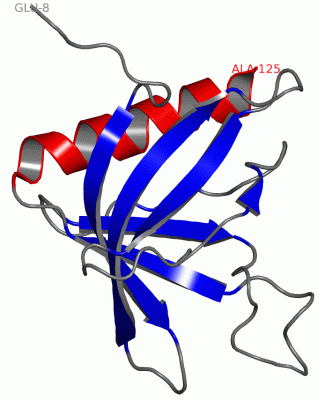 Image NMR Structure - manually