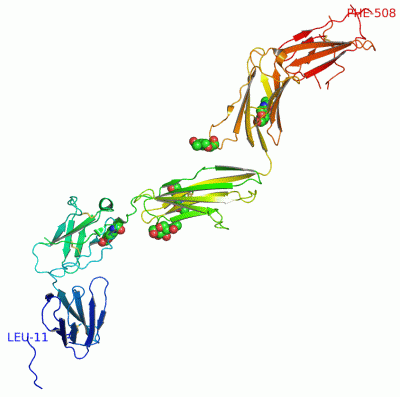 Image Asym./Biol. Unit - manually