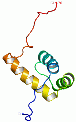 Image NMR Structure - manually