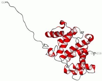 Image NMR Structure - manually