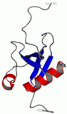 Image NMR Structure - manually