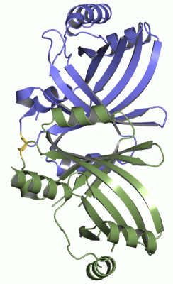 Image Asym./Biol. Unit - manually