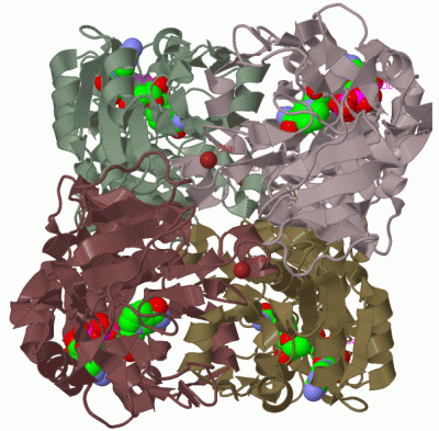 Image Biol.Unit 1 - manually