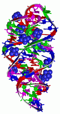 Image Asym./Biol. Unit - manually