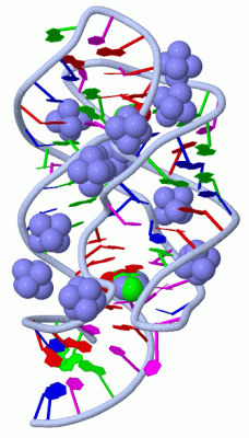 Image Asym./Biol. Unit - manually