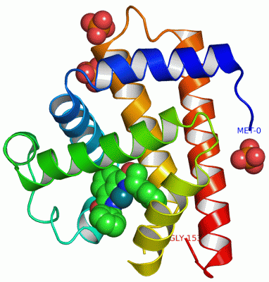 Image Asym./Biol. Unit - manually