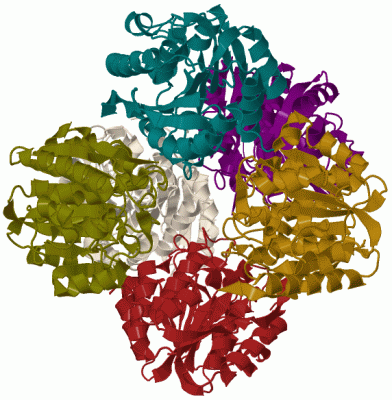 Image Biol.Unit 1 - manually