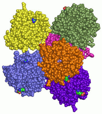 Image Asym./Biol. Unit - manually