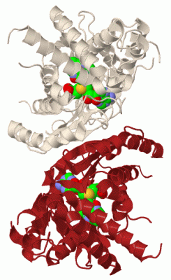 Image Biol.Unit 1 - manually