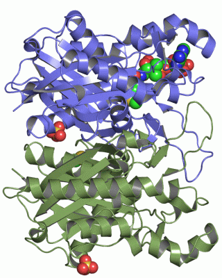 Image Asym./Biol. Unit - manually