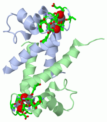 Image Asym./Biol. Unit - manually