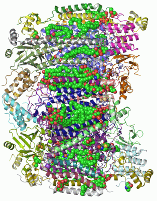 Image Asym./Biol. Unit - manually