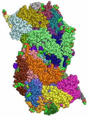 Image Asym./Biol. Unit - manually