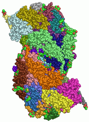 Image Asym./Biol. Unit - manually