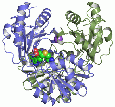 Image Asym./Biol. Unit - manually