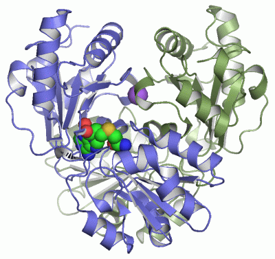 Image Asym./Biol. Unit - manually