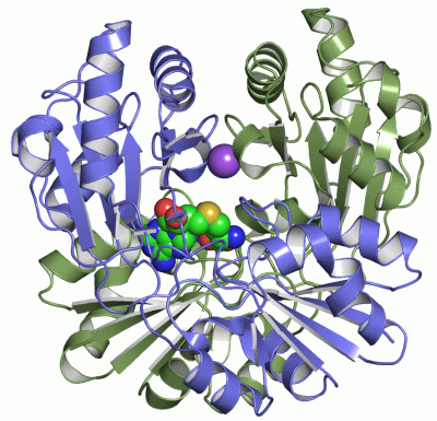 Image Asym./Biol. Unit - manually