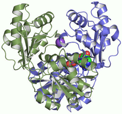 Image Asym./Biol. Unit - manually