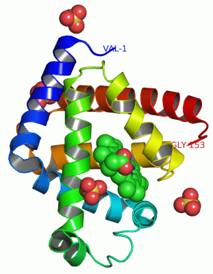 Image Asym./Biol. Unit - manually