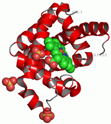 Image Asym./Biol. Unit - manually