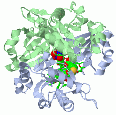 Image Asym./Biol. Unit - manually