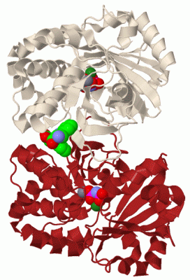 Image Biol.Unit 1 - manually