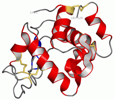 Image Asym./Biol. Unit - manually