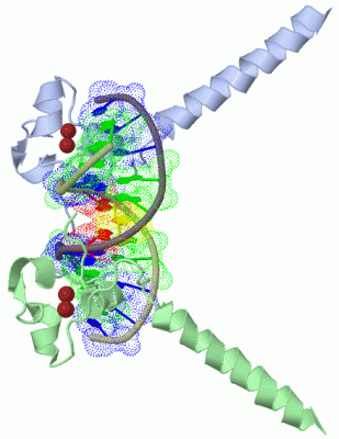 Image Biol.Unit 1 - manually