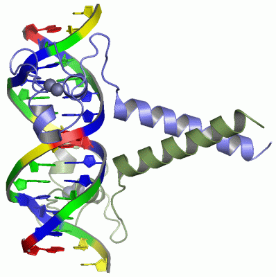 Image Asym./Biol. Unit - manually