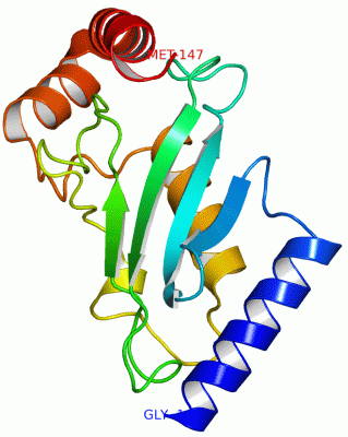 Image Asym./Biol. Unit - manually