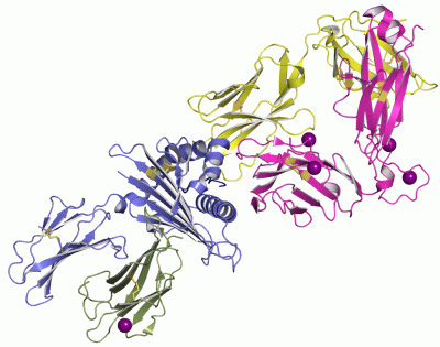 Image Asym./Biol. Unit - manually