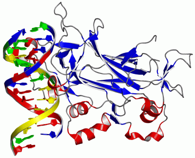 Image Asym./Biol. Unit - manually