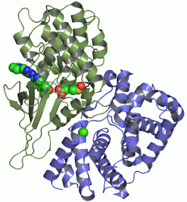 Image Asym./Biol. Unit - manually