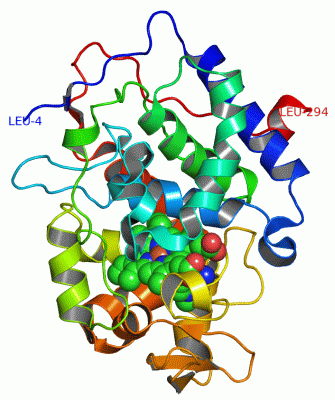 Image Asym./Biol. Unit - manually