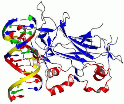 Image Asym./Biol. Unit - manually