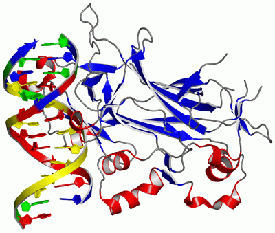 Image Asym./Biol. Unit - manually