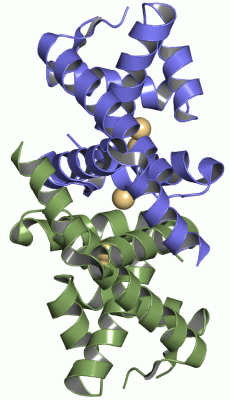 Image Asym./Biol. Unit - manually