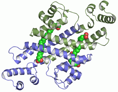 Image Asym./Biol. Unit - manually