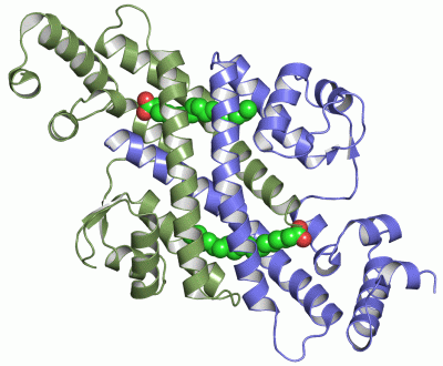 Image Asym./Biol. Unit - manually