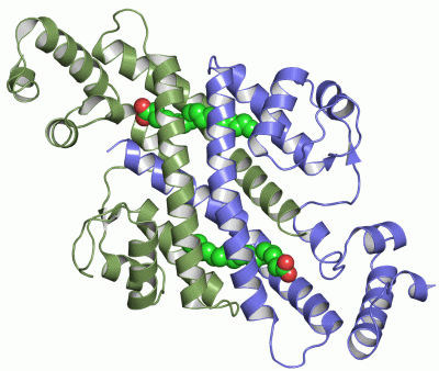 Image Asym./Biol. Unit - manually