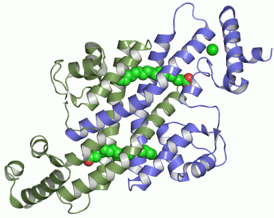 Image Asym./Biol. Unit - manually