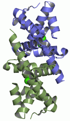 Image Asym./Biol. Unit - manually