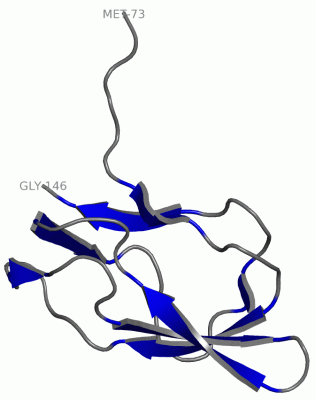 Image Asym./Biol. Unit - manually