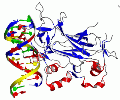 Image Asym./Biol. Unit - manually