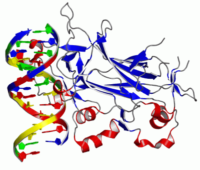 Image Asym./Biol. Unit - manually