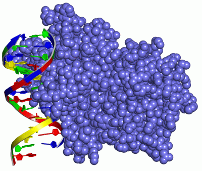 Image Asym./Biol. Unit - manually