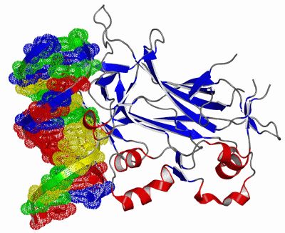 Image Asym./Biol. Unit - manually