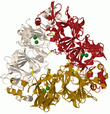 Image Biol.Unit 1 - manually