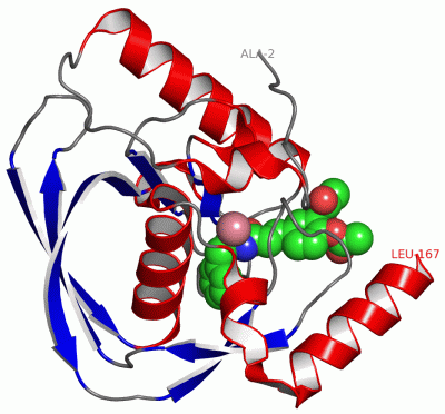 Image Asym./Biol. Unit - manually